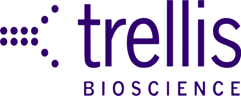 Nodenza - Trellis Full Logo